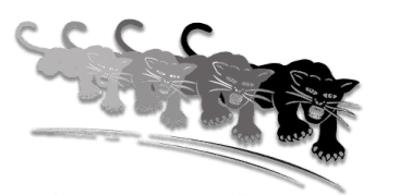 The original sequence of leaping black panthers