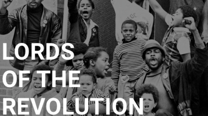 Lords of the Revolution: The Black Panthers Documentary (2009)